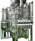 Fermentation Culture