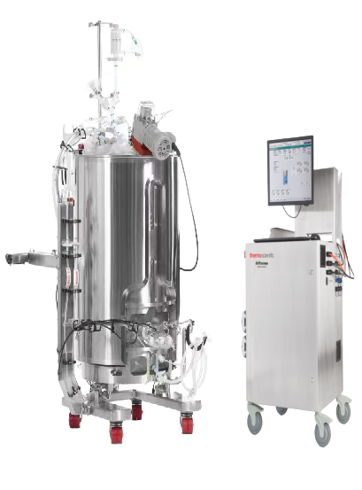 Cell Culture
